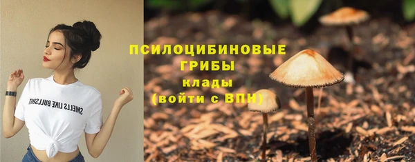 мет Ладушкин