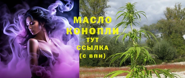 мет Ладушкин