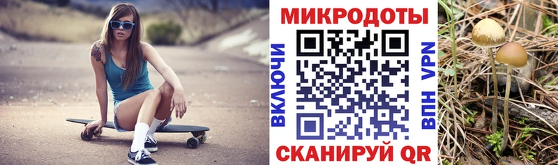Псилоцибиновые грибы Cubensis  Купить где  Тырныауз 